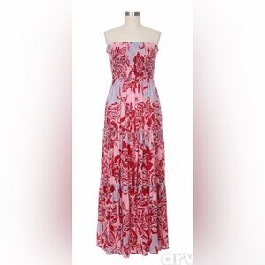 Floral Red and Pink Maxi Dress